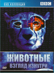Лицензионная коллекция BBC фильмов на DVD